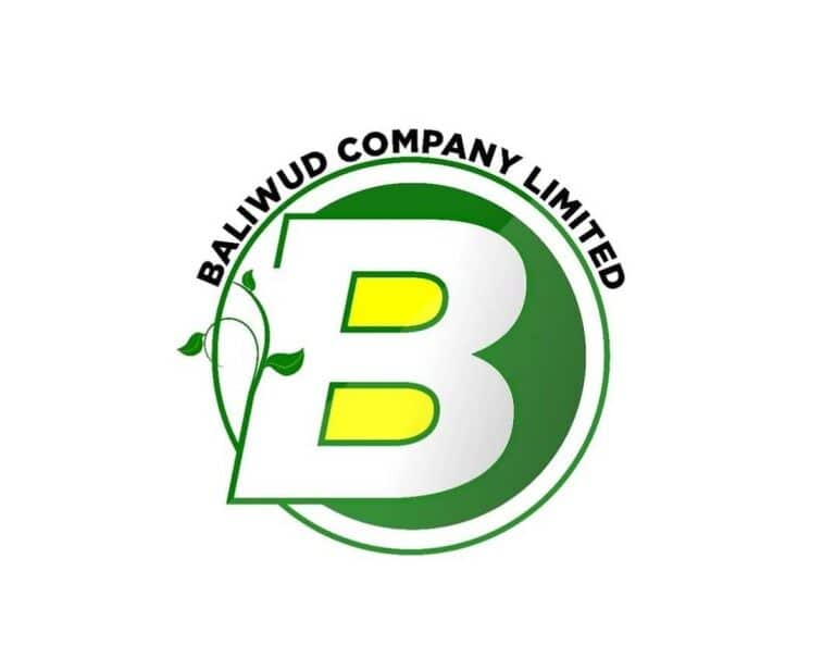 EISD PARTNER - BALIWUD COMPANY LIMITED